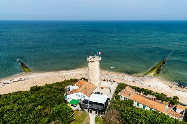 Quels sont les meilleurs spots pour l'observation des baleines en Norvège?